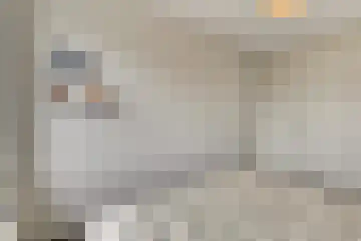 De Vesting 2 a Meteren thumbnail 19