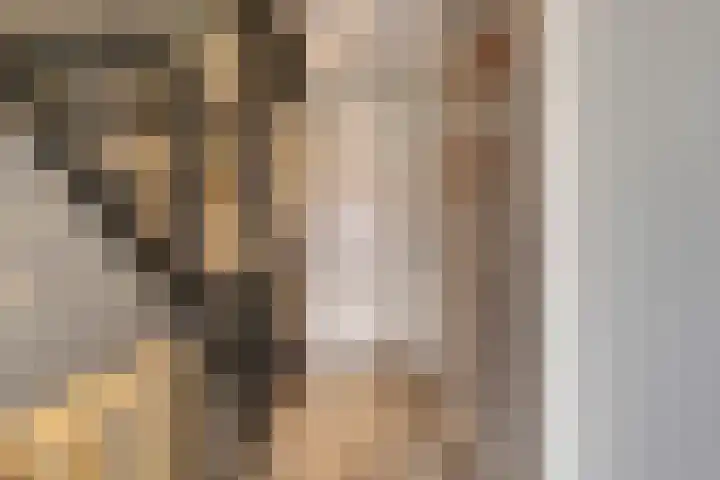 De Vesting 2 a Meteren thumbnail 20