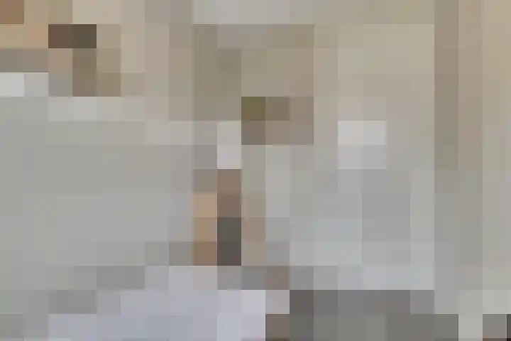 De Vesting 2 a Meteren thumbnail 24
