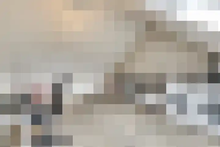 De Vesting 2 a Meteren thumbnail 31