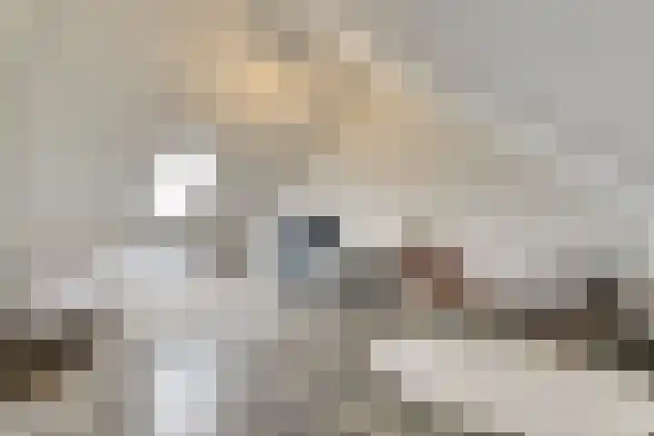 De Vesting 2 a Meteren thumbnail 32