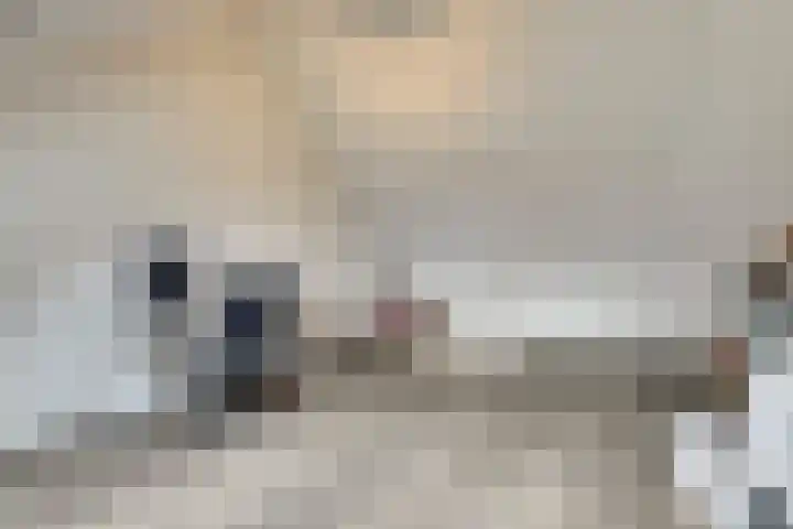 De Vesting 2 a Meteren thumbnail 33