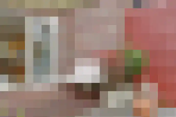 De Vesting 2 a Meteren thumbnail 36