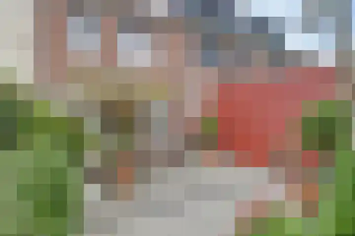 De Vesting 2 a Meteren thumbnail 38