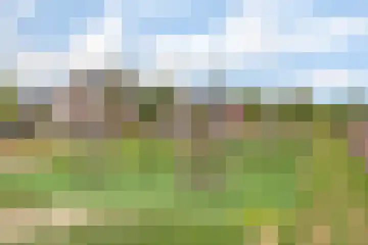 De Vesting 2 a Meteren thumbnail 40