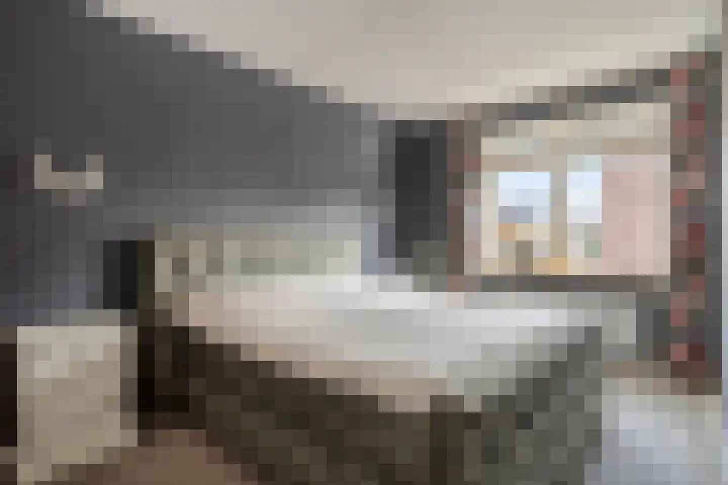 De Vesting 2 Meteren thumbnail 16