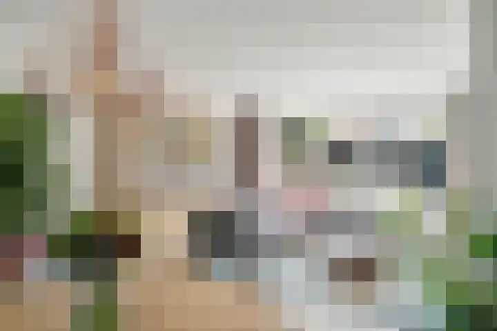 De Vesting 30 Meteren thumbnail 13