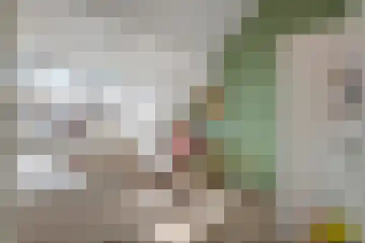 De Vesting 30 Meteren thumbnail 27