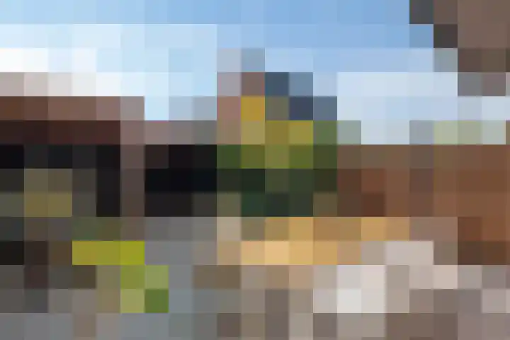 De Vesting 30 Meteren thumbnail 35