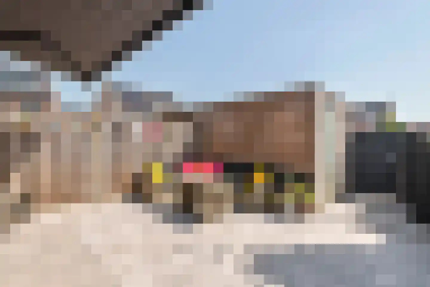 De Vesting 4 a Meteren thumbnail 28