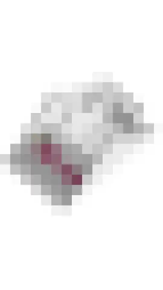 De Vesting 4 a Meteren thumbnail 37