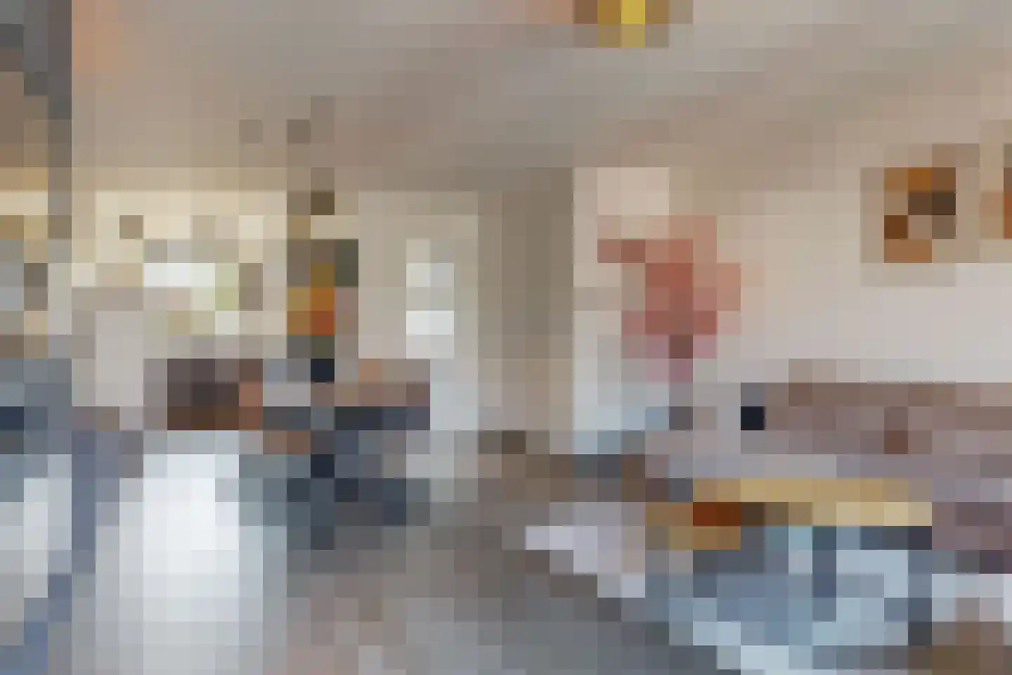 De Vesting 4 Meteren thumbnail 13