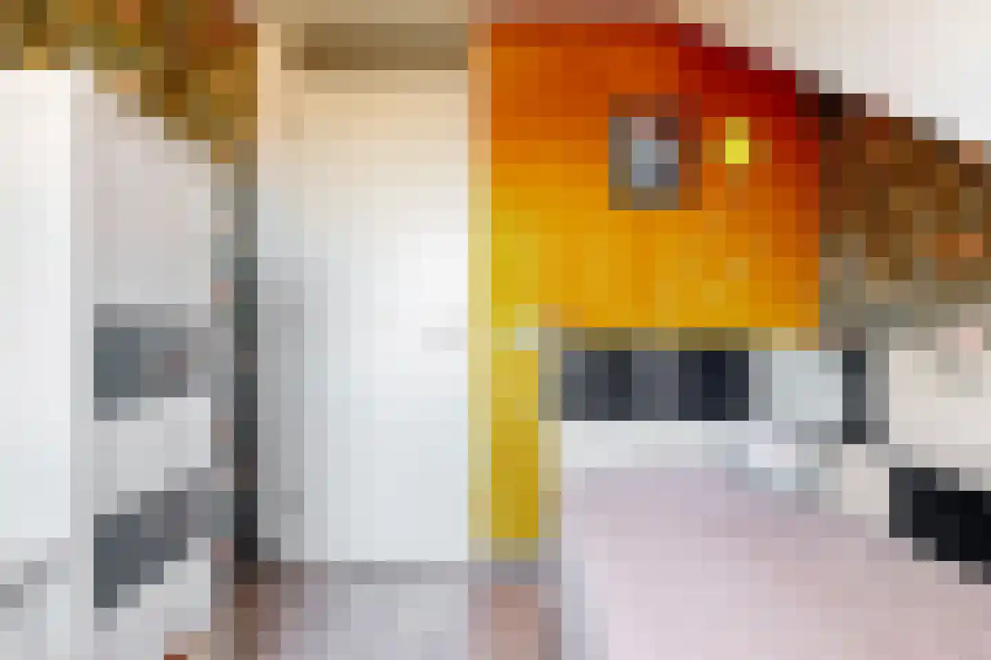De Vesting 4 Meteren thumbnail 36