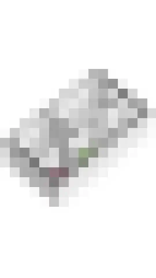 De Vesting 66 Meteren thumbnail 36