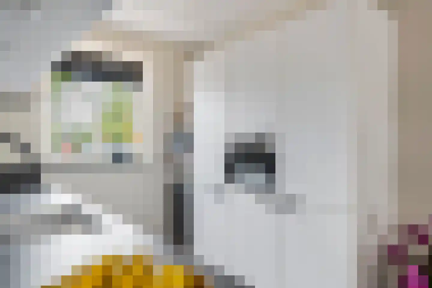 De Vesting 66 Meteren thumbnail 8