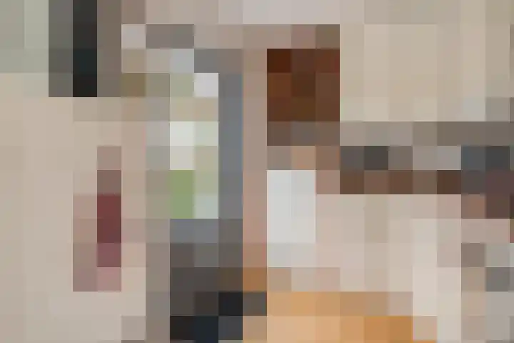 De Veurdele 125 Nijeveen thumbnail 10