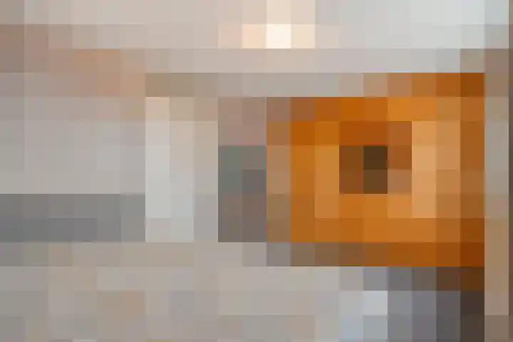 De Veurdele 125 Nijeveen thumbnail 16