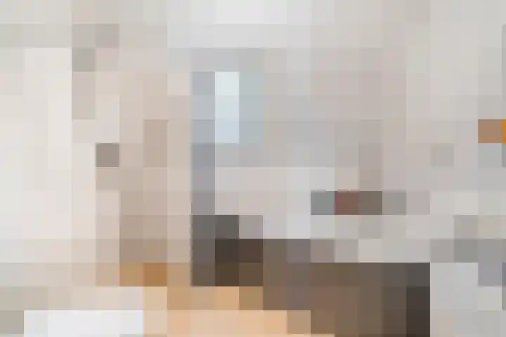 De Veurdele 125 Nijeveen thumbnail 19