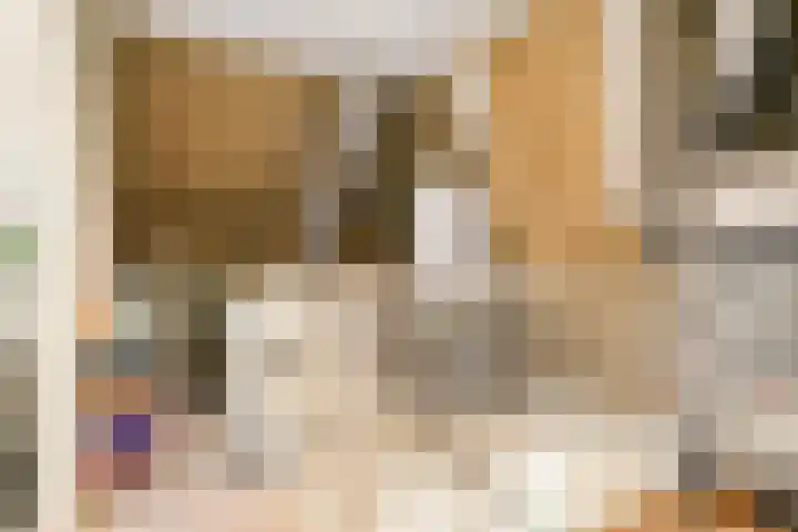 De Veurdele 125 Nijeveen thumbnail 22
