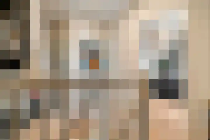 De Veurdele 125 Nijeveen thumbnail 23