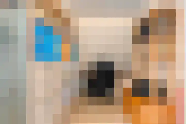 De Veurdele 125 Nijeveen thumbnail 27