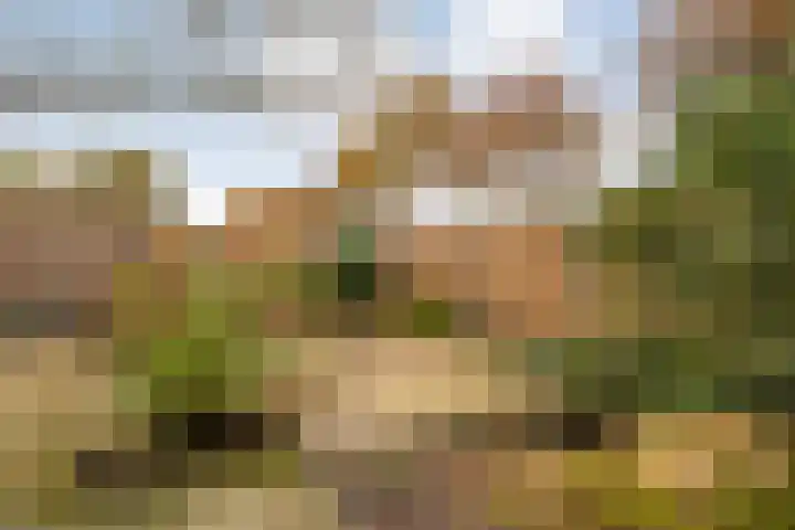 De Veurdele 125 Nijeveen thumbnail 29