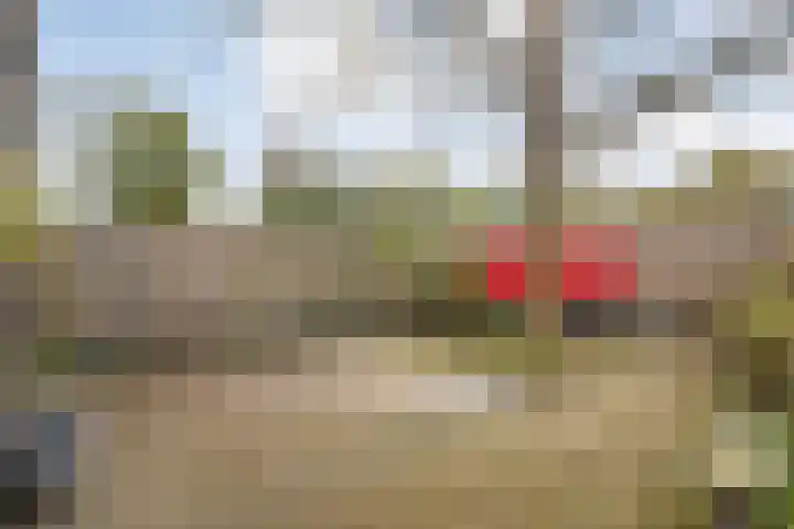 De Veurdele 125 Nijeveen thumbnail 30