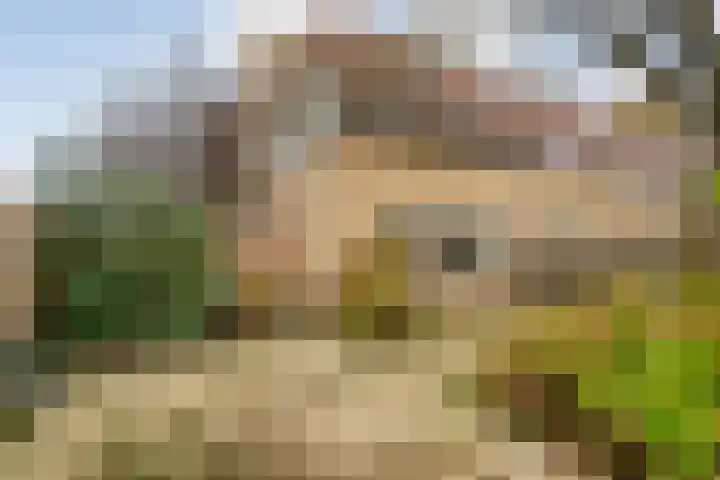 De Veurdele 125 Nijeveen thumbnail 31
