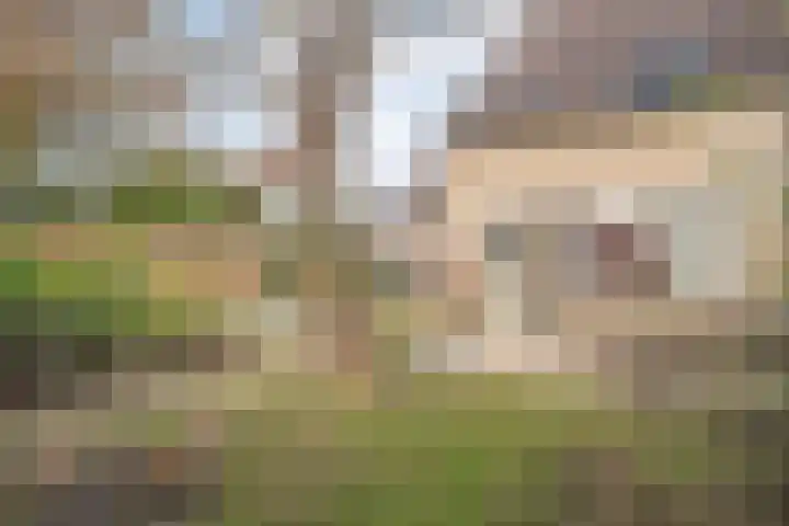 De Veurdele 125 Nijeveen thumbnail 32