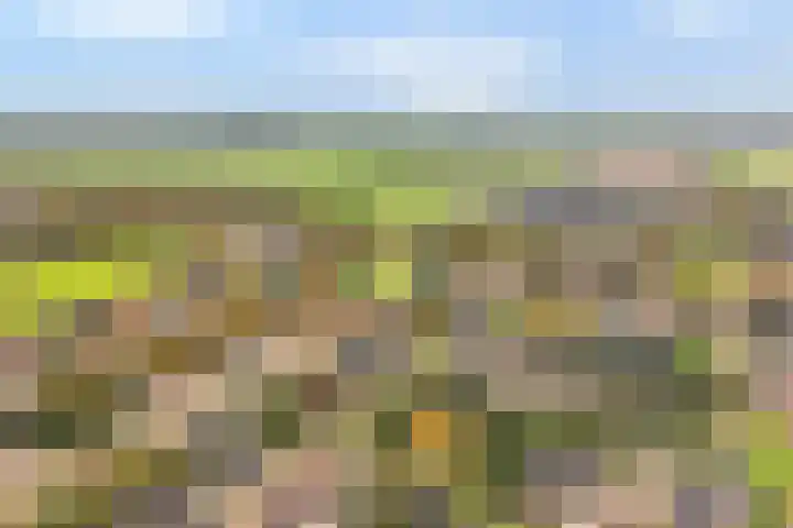 De Veurdele 125 Nijeveen thumbnail 33