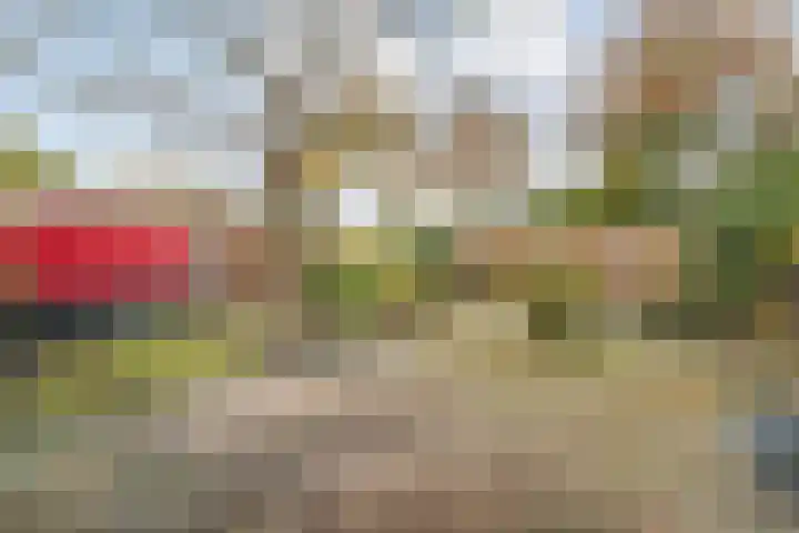 De Veurdele 125 Nijeveen thumbnail 4