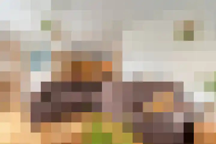 De Veurdele 125 Nijeveen thumbnail 6