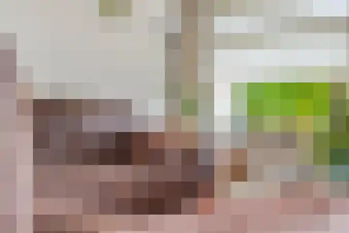 De Veurdele 125 Nijeveen thumbnail 8