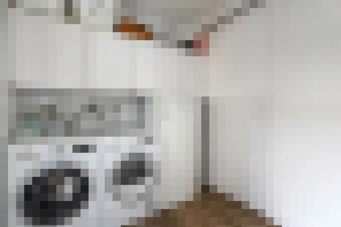 De Veurdele 19 Nijeveen thumbnail 17