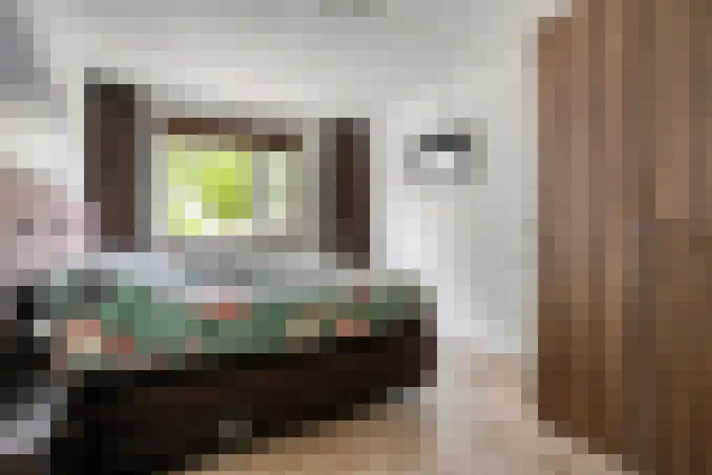 De Veurdele 19 Nijeveen thumbnail 23