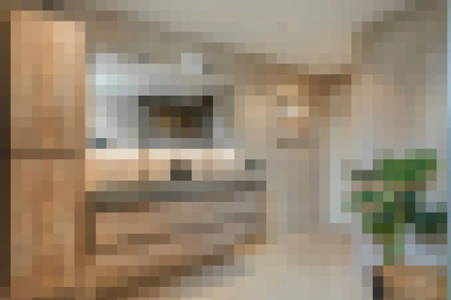 De Veurdele 19 Nijeveen thumbnail 29