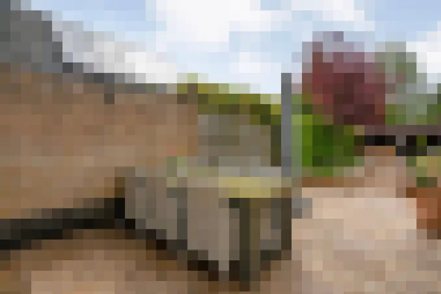 De Veurdele 19 Nijeveen thumbnail 35