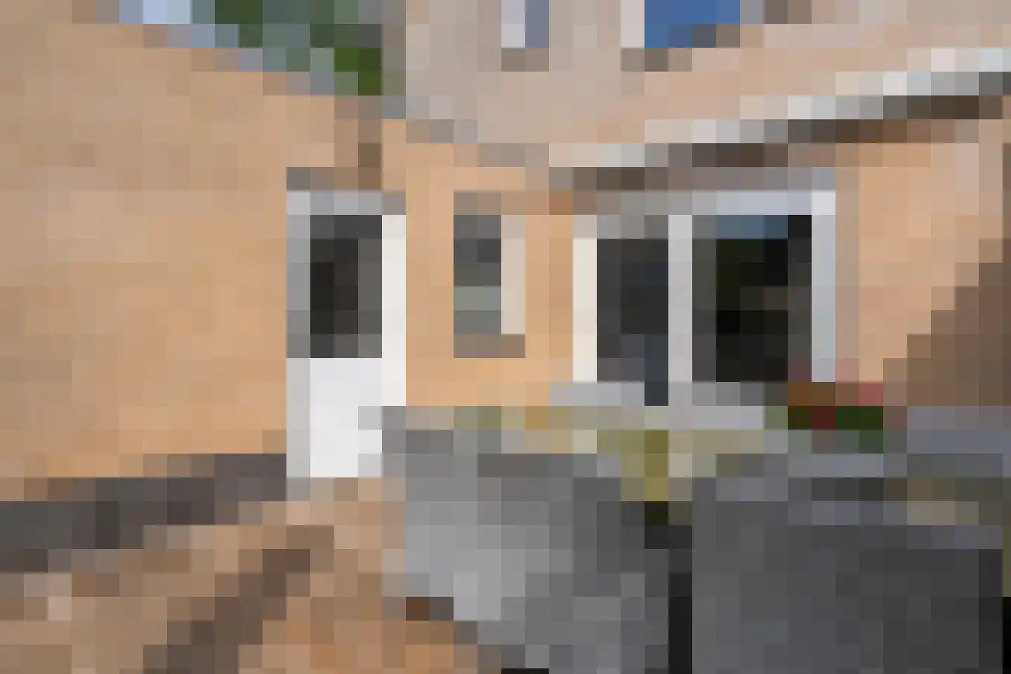 De Veurdele 19 Nijeveen thumbnail 36