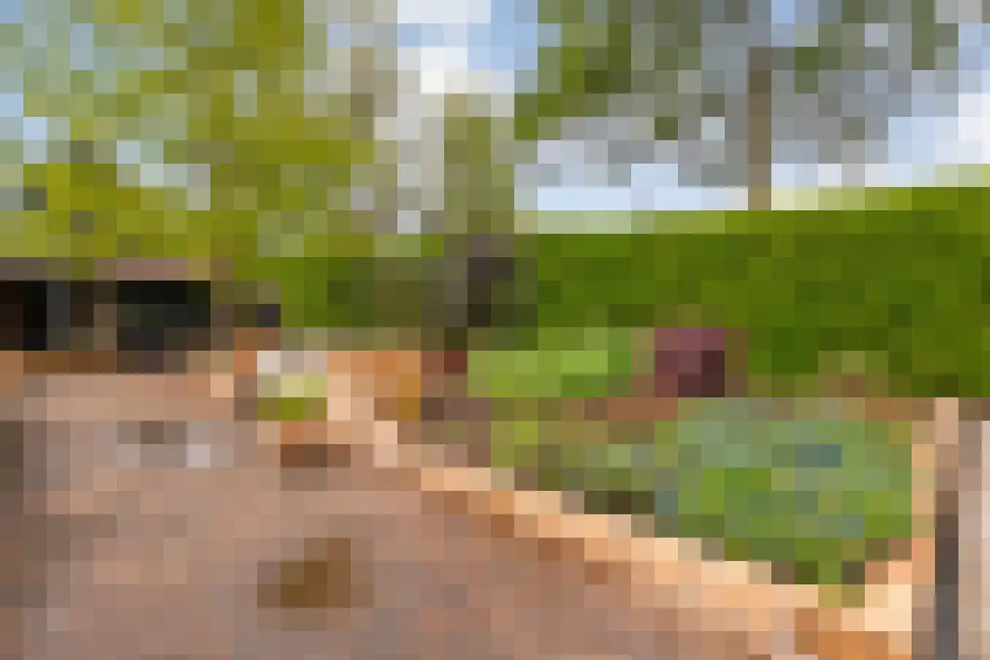 De Veurdele 19 Nijeveen thumbnail 38