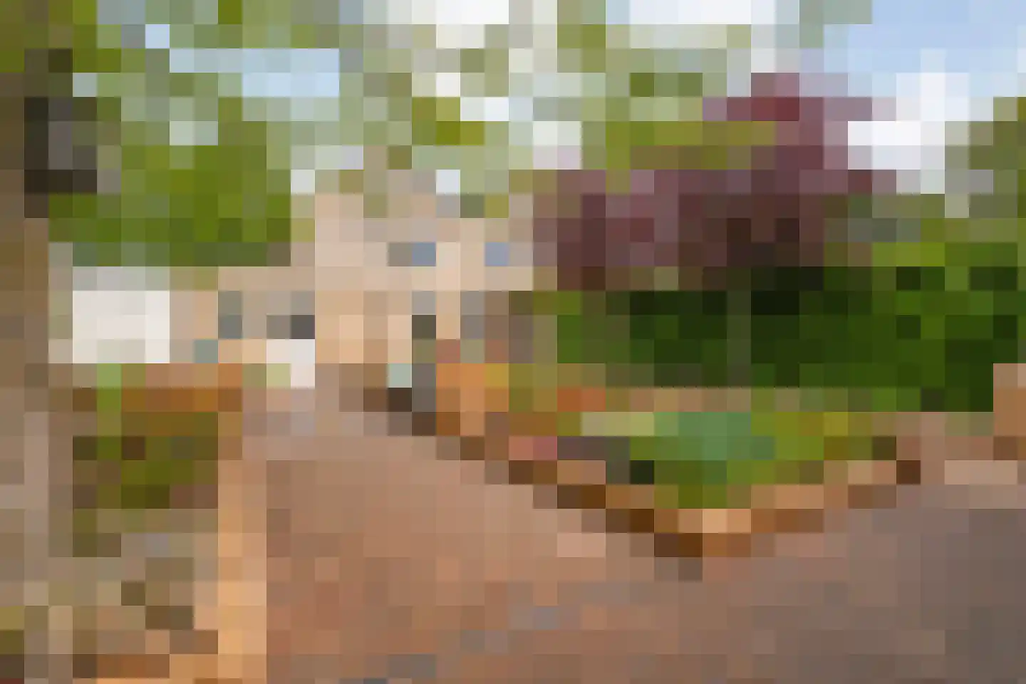 De Veurdele 19 Nijeveen thumbnail 39