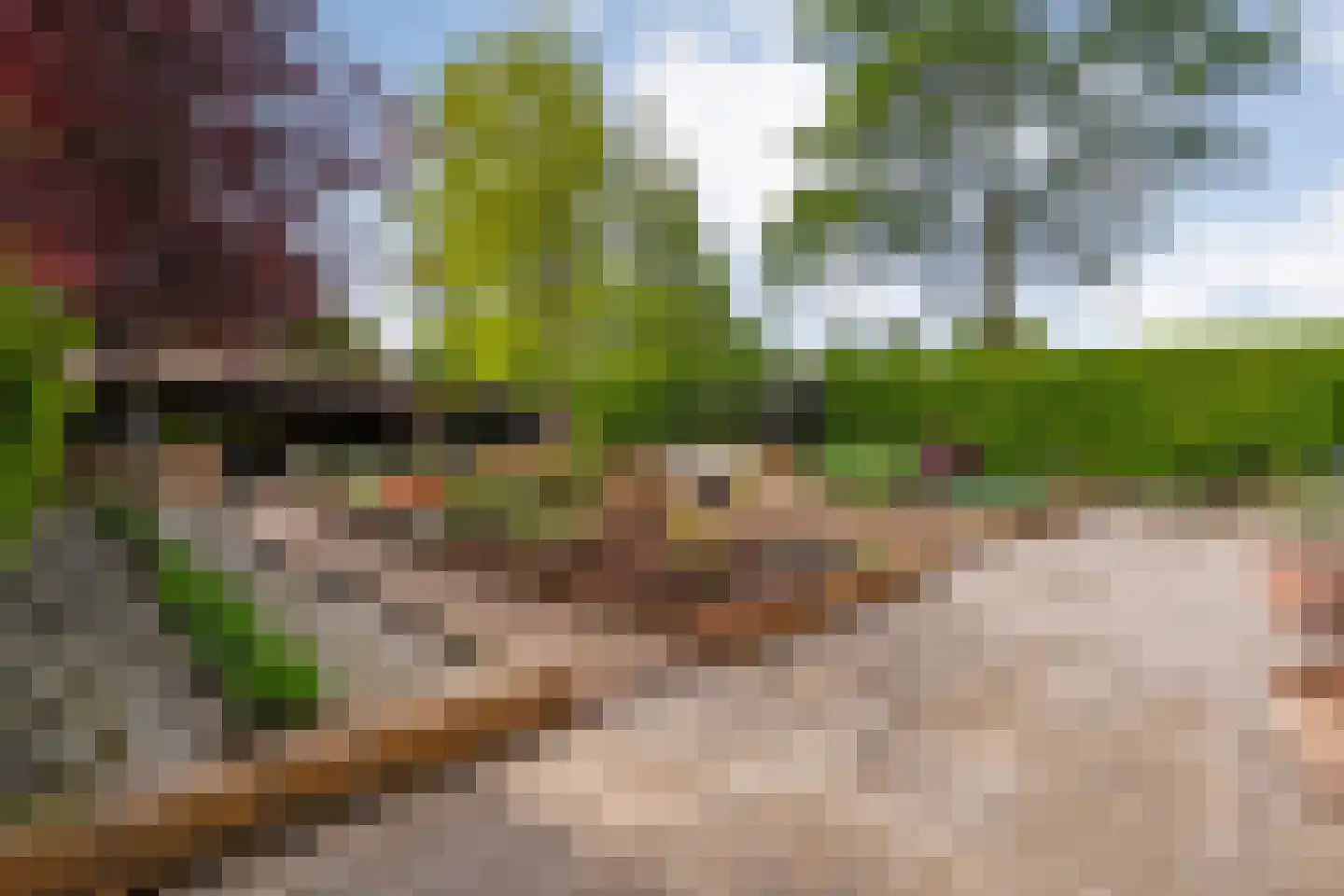 De Veurdele 19 Nijeveen thumbnail 4