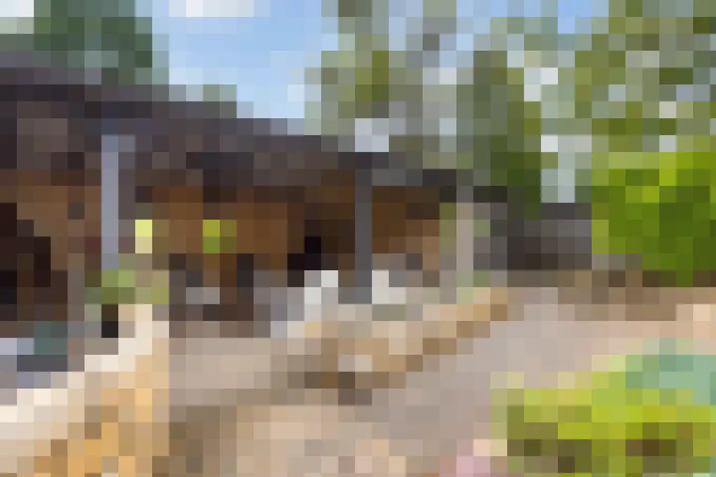 De Veurdele 19 Nijeveen thumbnail 43