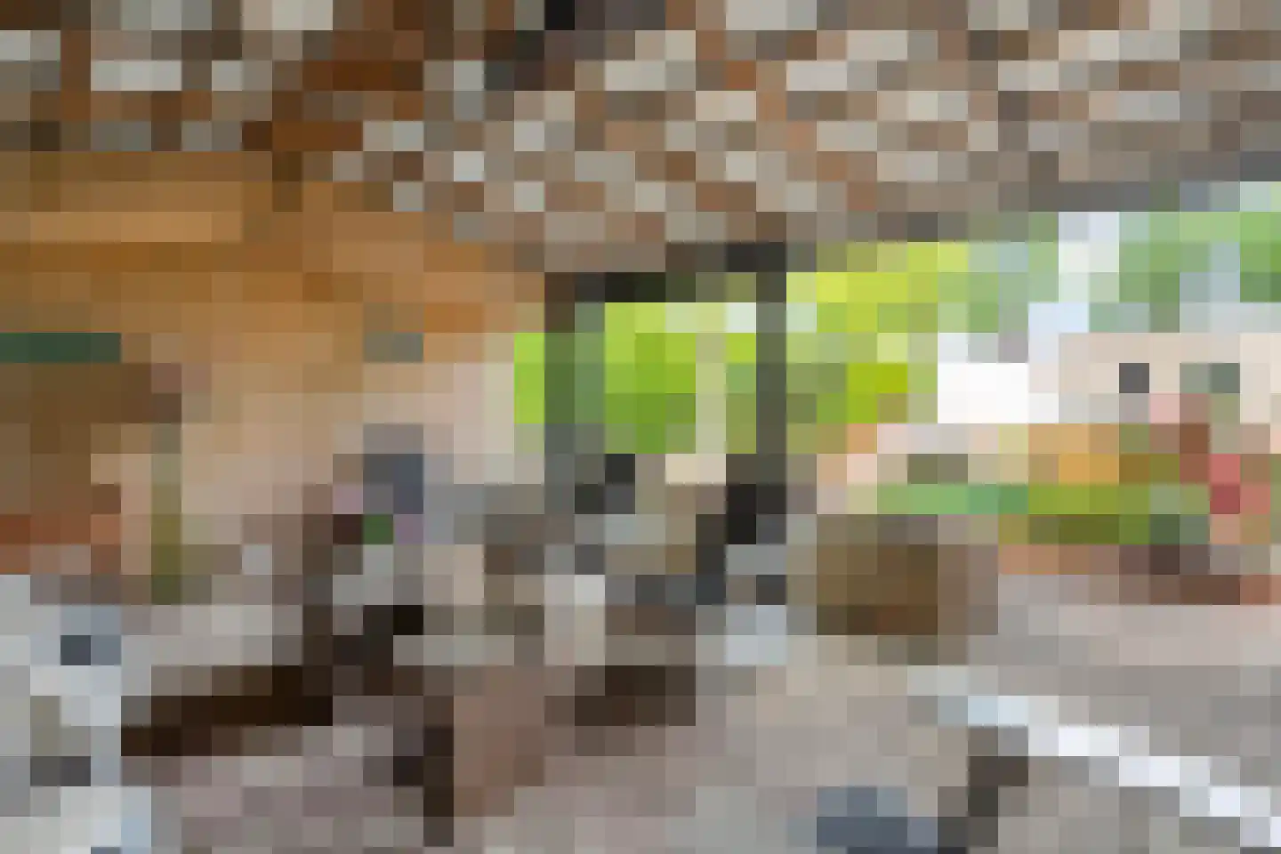 De Veurdele 19 Nijeveen thumbnail 44