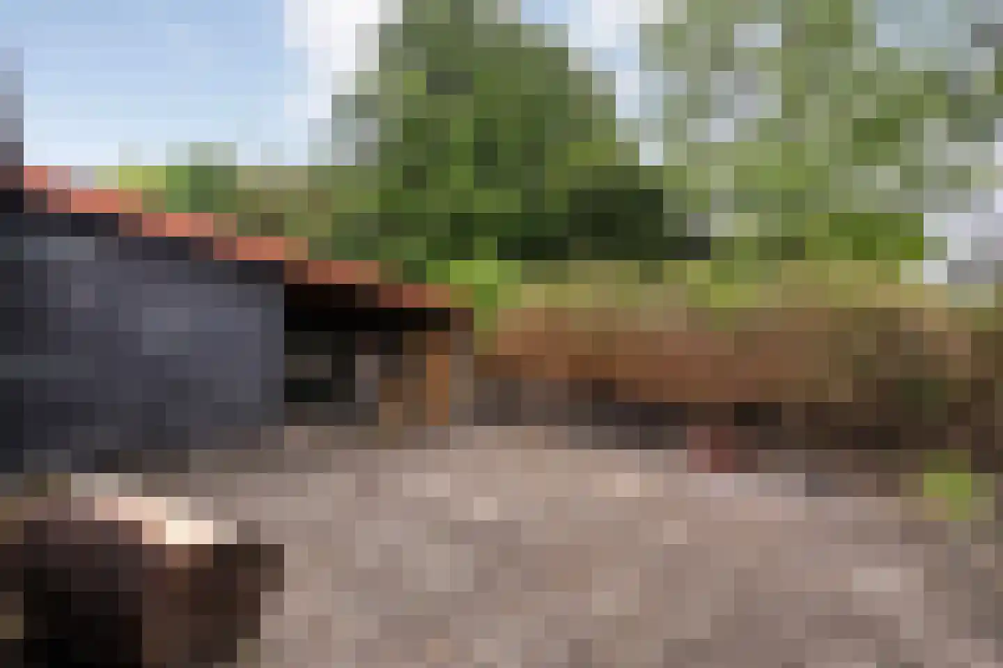 De Veurdele 19 Nijeveen thumbnail 54