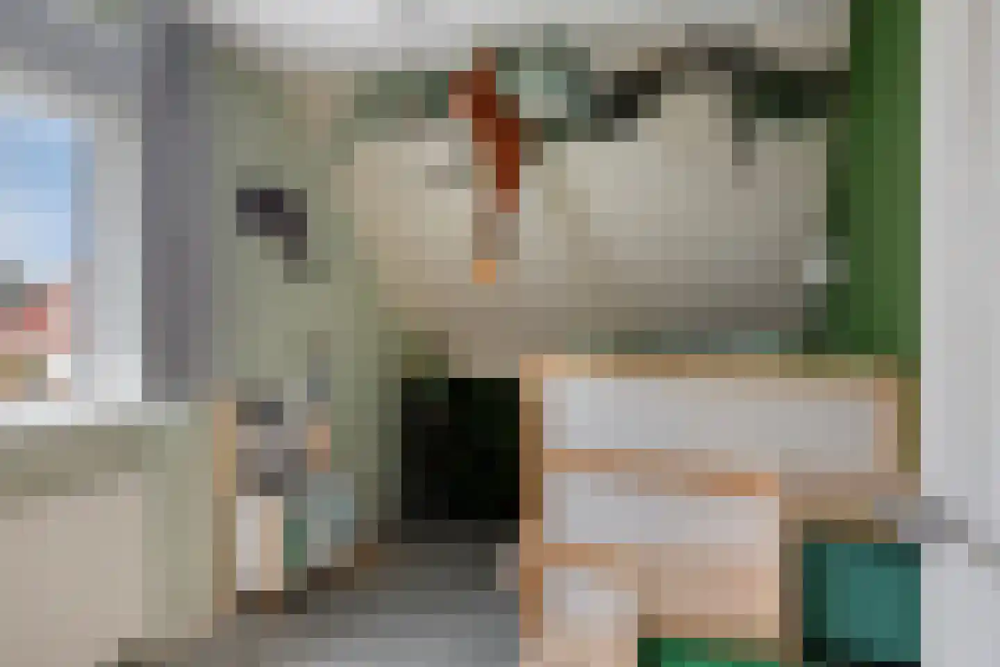 De Veurdele 44 Nijeveen thumbnail 25