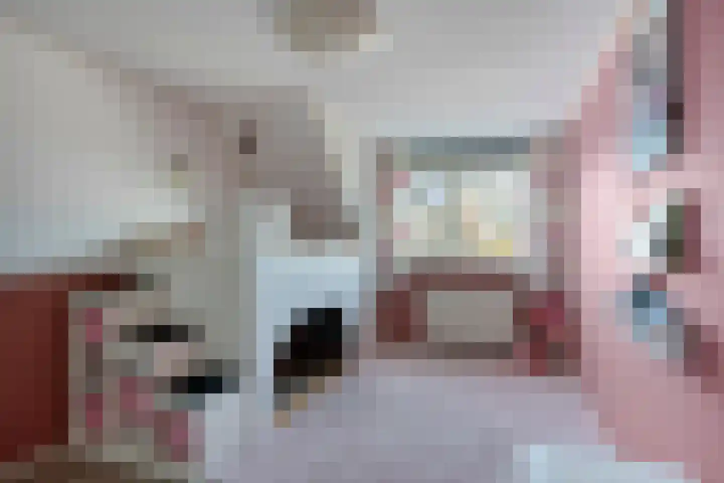 De Veurdele 44 Nijeveen thumbnail 26
