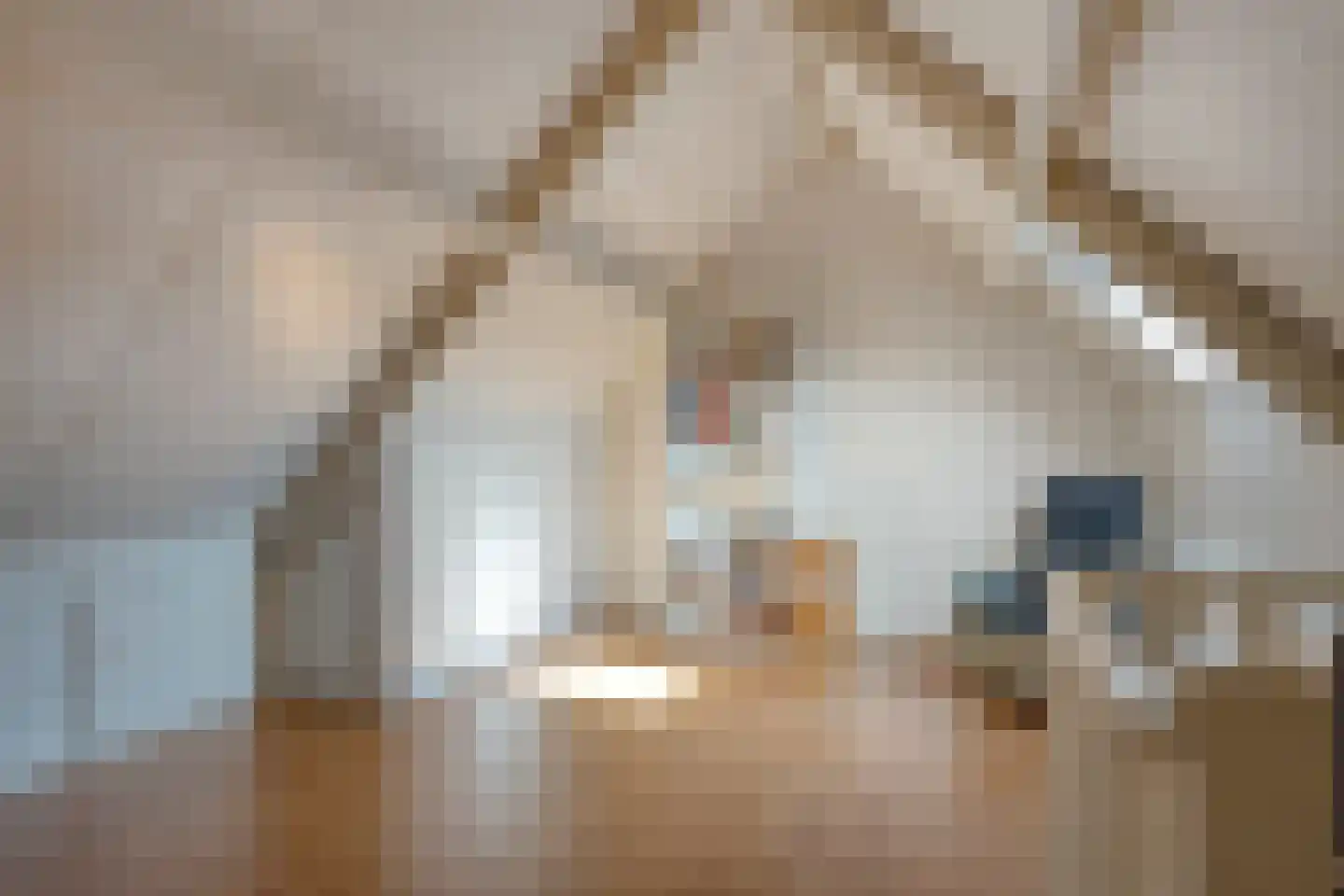 De Veurdele 44 Nijeveen thumbnail 29