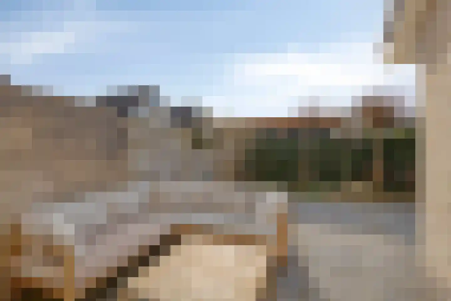 De Veurdele 44 Nijeveen thumbnail 31