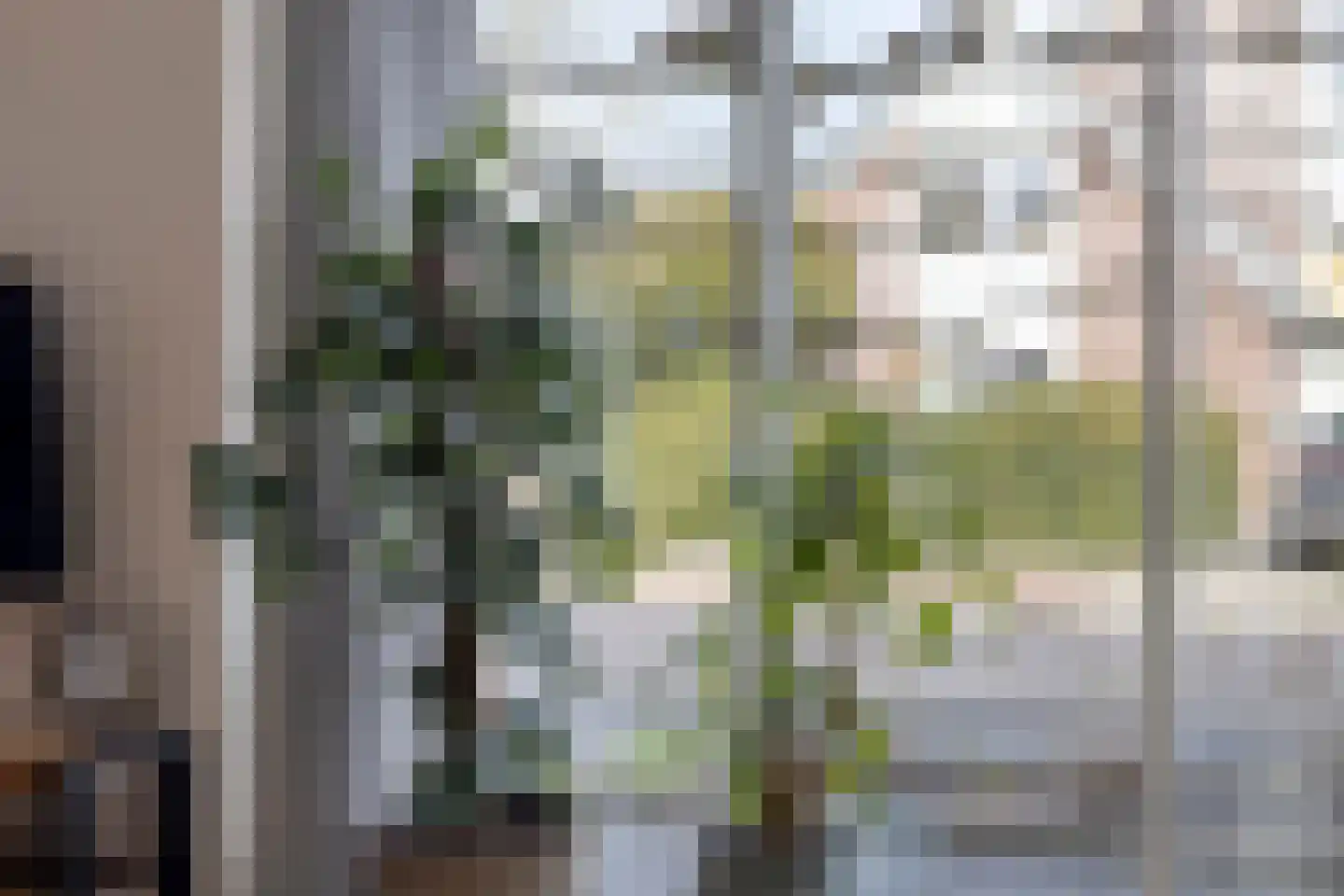 De Veurdele 44 Nijeveen thumbnail 7