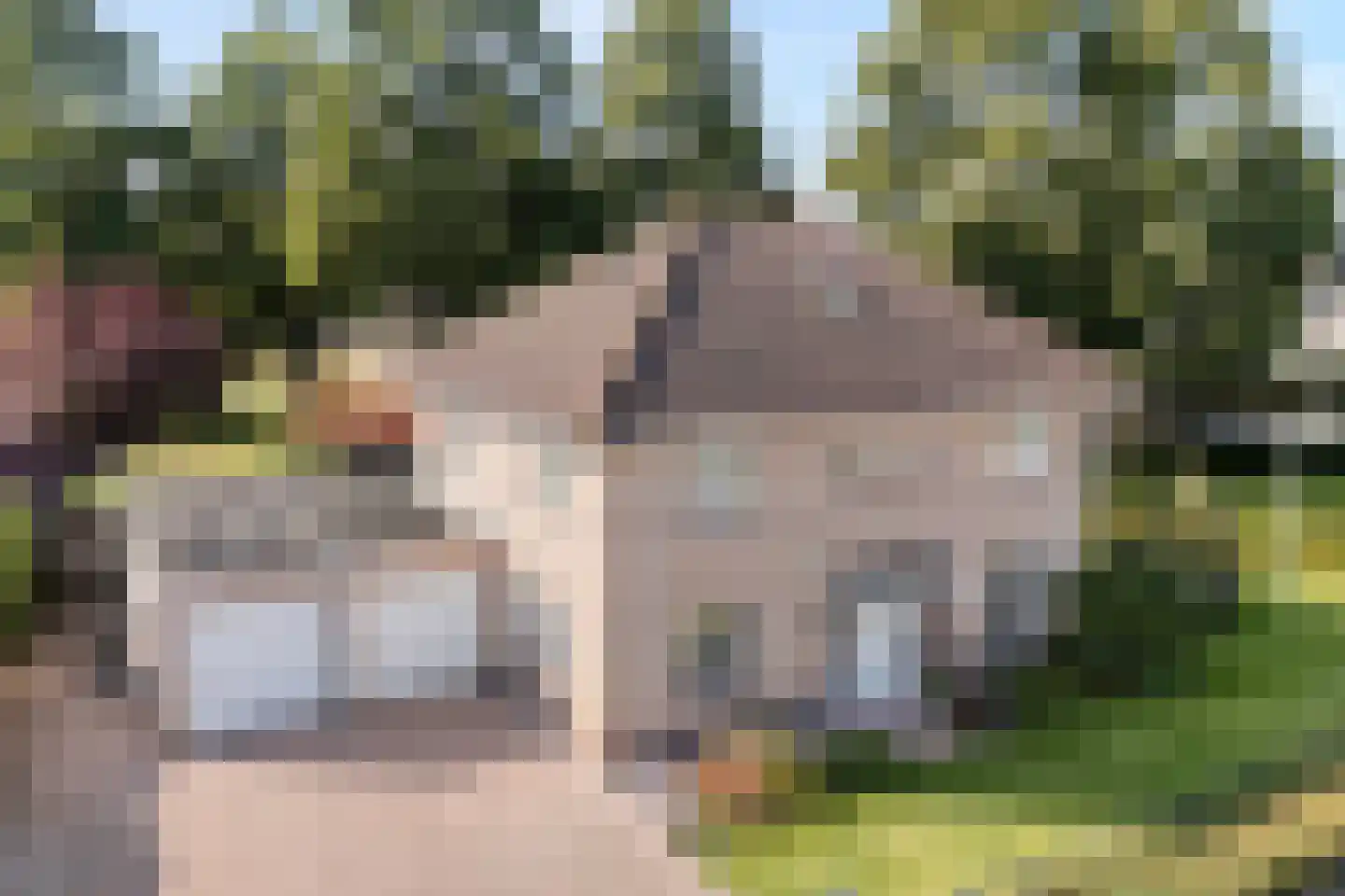 De Veurdele 58 Nijeveen